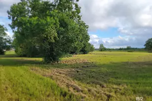 Lot 6 Horses-N-Hounds, Foley, AL 36535 - Photo 1