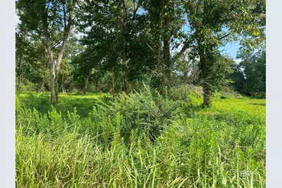 16827 Engel Lane, Foley, AL 36545 - Photo 1