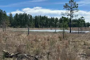 4 County Road 64, Robertsdale, AL 36567 - Photo 1