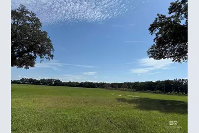 10010 Weeks Road, Foley, AL 36535 - Photo 1