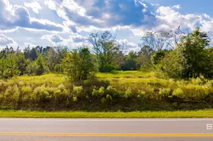 0 W Johnson Rd, Mobile, AL 36695 - Photo 1