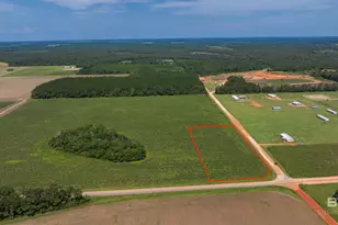 0 Cc Rd, Elberta, AL 36530 - Photo 1