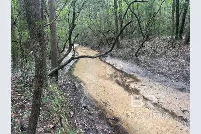 0 Dry Branch Lane, Robertsdale, AL 36567 - Photo 1