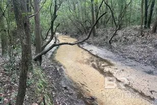 0 Dry Branch Ln, Robertsdale, AL 36567 - Photo 1