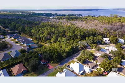 26643 Terry Cove Drive, Orange Beach, AL 36561 - Photo 1