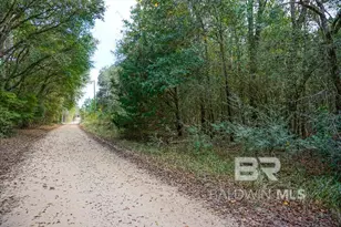 0 Smith Young Rd, Mobile, AL 36695 - Photo 1