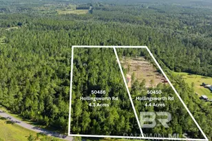50450 Hollingsworth Rd, Bay Minette, AL 36507 - Photo 1