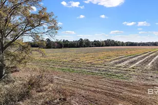 0 US Hwy 98, Elberta, AL 36530 - Photo 1