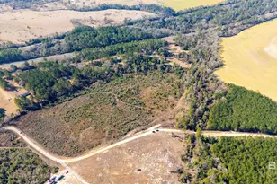 0 Lechner Rd, Robertsdale, AL 36567 - Photo 1