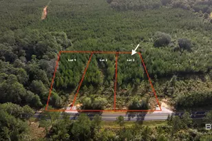 0 County Road 87, Robertsdale, AL 36567 - Photo 1