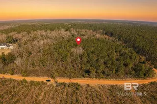 0 Brady Rd, Bay Minette, AL 36507 - Photo 1