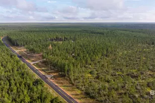 0 County Road 87, Robertsdale, AL 36567 - Photo 1