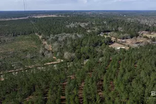 0 Cowpen Creek Rd, Robertsdale, AL 36567 - Photo 1