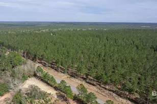 0 Cowpen Creek Rd, Robertsdale, AL 36567 - Photo 1
