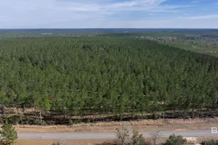 0 Cowpen Creek Rd, Robertsdale, AL 36567 - Photo 1