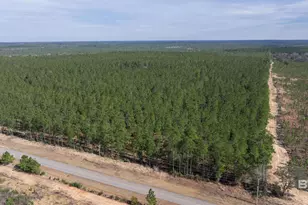 0 Cowpen Creek Rd, Robertsdale, AL 36567 - Photo 1