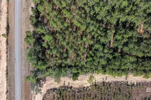 0 Cowpen Creek Rd, Robertsdale, AL 36567 - Photo 1