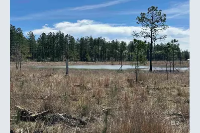 7 County Road 64, Robertsdale, AL 36567 - Photo 1