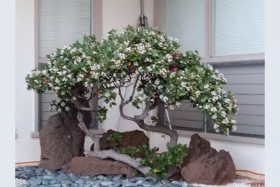 28 Poipu Drive, Honolulu, HI 96825 - Photo 6