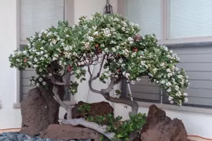 28 Poipu Dr, Honolulu, HI 96825 - Photo 6