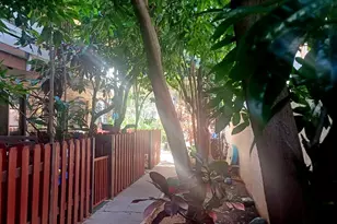 423 Kaiolu St, Honolulu, HI 96815 - Photo 4