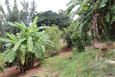 99-460 Fernridge Place #C, Aiea, HI 96701 - Photo 2