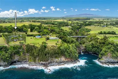 31-212 Hawaii Belt Road, Hakalau, HI 96710 - Photo 24