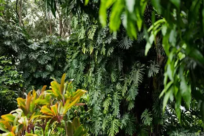 3242 Pelekane Drive, Honolulu, HI 96817 - Photo 18