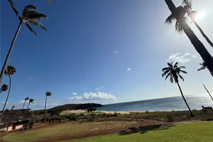 255 Kepuhi Pl, Maunaloa, HI 96770 - Photo 14