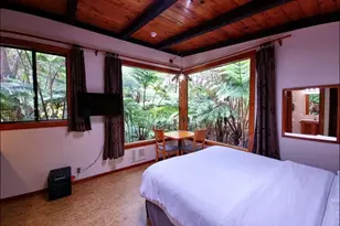 11-3832 2nd St, Volcano, HI 96785 - Photo 10