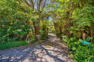 11-3832 2nd St, Volcano, HI 96785 - Photo 2