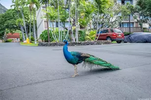 84-755 Ala Mahiku St, Waianae, HI 96792 - Photo 24