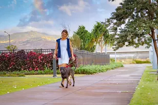 91-1170 Hoonaauao St, Kapolei, HI 96707 - Photo 8