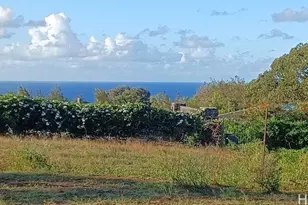 2676 Kalanikahua Rd, Haiku, HI 96708 - Photo 22