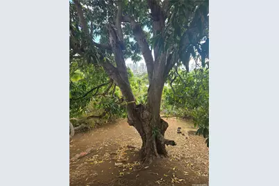 2026 Ahualani Place #A, Honolulu, HI 96822 - Photo 22