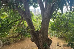 2026 Ahualani Pl, Honolulu, HI 96822 - Photo 22