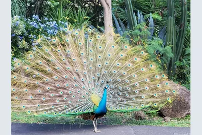 84-665 Ala Mahiku Street #138A, Waianae, HI 96792 - Photo 10