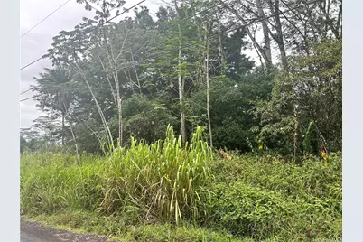 - 14th Avenue, Keaau, HI 96749 - Photo 1