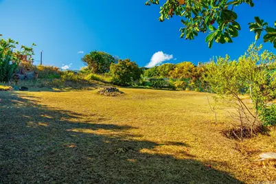 1123 Kehau Place, Makawao, HI 96768 - Photo 24