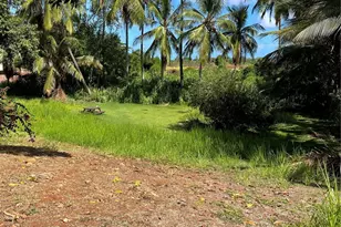 66-346 Paalaa Rd, Haleiwa, HI 96712 - Photo 12