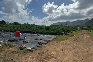 53-720 Kamehameha Hwy, Hauula, HI 96717 - Photo 14
