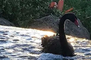 92-1539 Aliinui Dr, Kapolei, HI 96707 - Photo 22