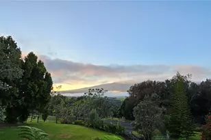 64-740 Punakea Pl, Kamuela, HI 96743 - Photo 24