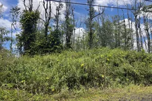 16-2143 Tradewind Dr, Pahoa, HI 96778 - Photo 12