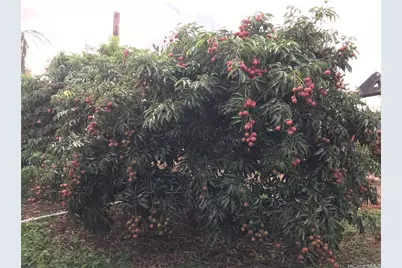 94-1100 Kunia Road #0045, Waipahu, HI 96797 - Photo 1