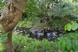 1740 Kamohoalii St, Honolulu, HI 96819 - Photo 22