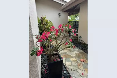 7832 Makaaoa Place, Honolulu, HI 96825 - Photo 18