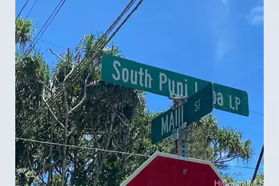 S Puni Lapa Loop, Pahoa, HI 96778 - Photo 4