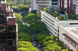 1388 Kapiolani Blvd, Honolulu, HI 96814 - Photo 12