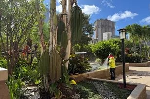 411 Hobron Ln, Honolulu, HI 96815 - Photo 14